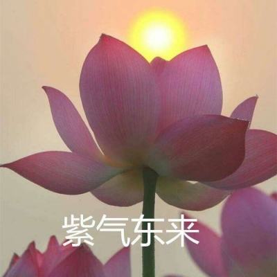 圣剑崛起手游变态版